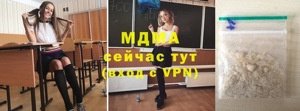 индика Богородицк