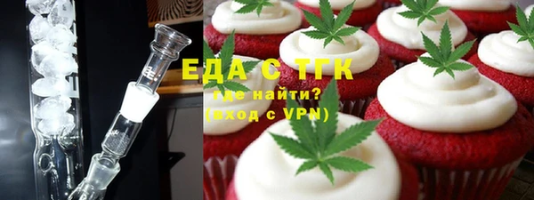 индика Богородицк