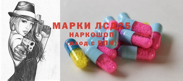 индика Богородицк