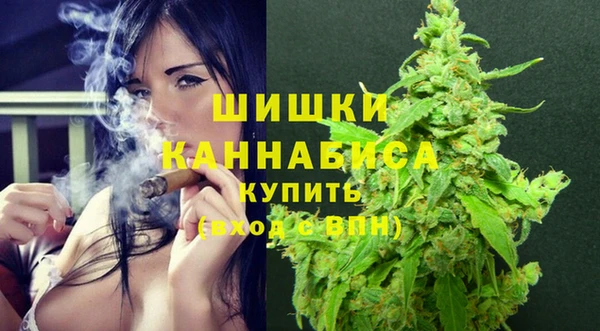 индика Богородицк