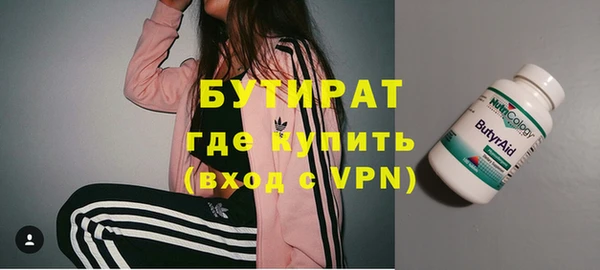 индика Богородицк