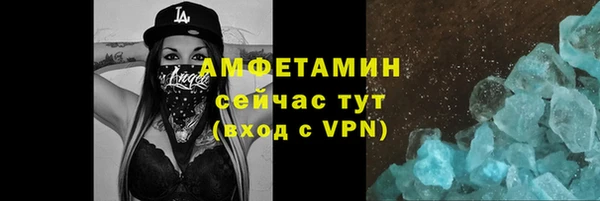 индика Богородицк