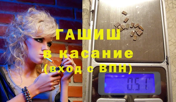 индика Богородицк