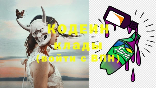 индика Богородицк