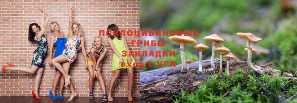 apvp Богородск