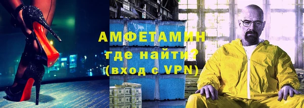 индика Богородицк