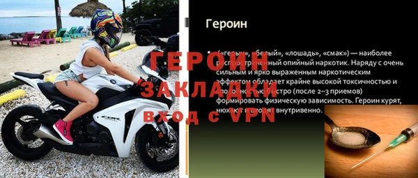 индика Богородицк