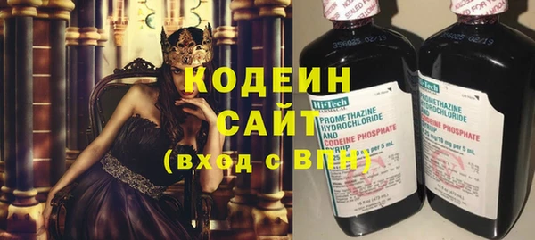 индика Богородицк