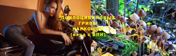 apvp Богородск