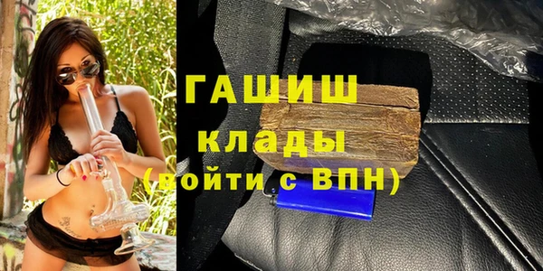 индика Богородицк