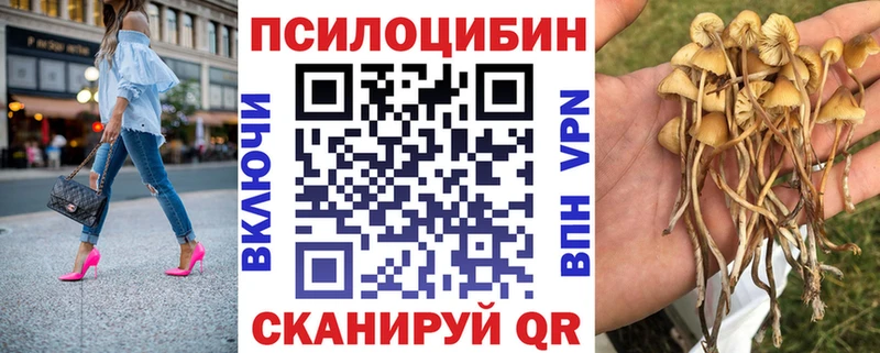 Купить  Саки  Галлюциногенные грибы Cubensis 